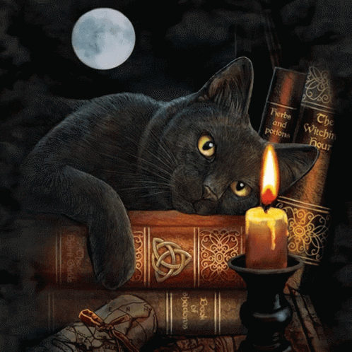 Black Cat Laying on Stack of Books With Candle