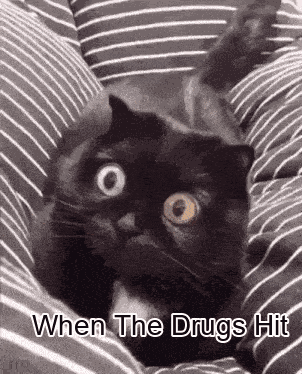 Black Cat Laying on Striped Pillow Saying When the Drugs Hit