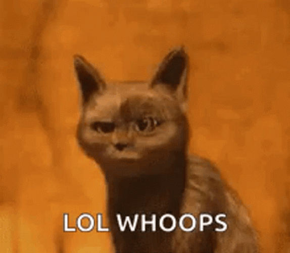 Black Cat Lol Whoops GIF