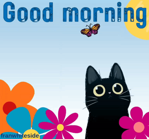 Black Cat Looking at Butterfly Good Morning