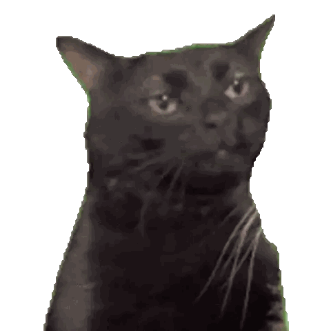 Black Cat Looking at Camera with Green Ears