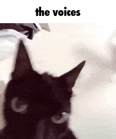 Black Cat Looking at Camera With The Voices