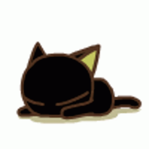 Black Cat Lying Down Eyes Closed