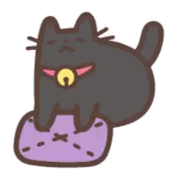 Black Cat Lying on Purple Pillow