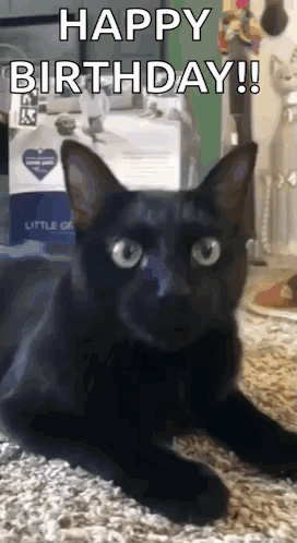Black Cat Lying With Happy Birthday GIF