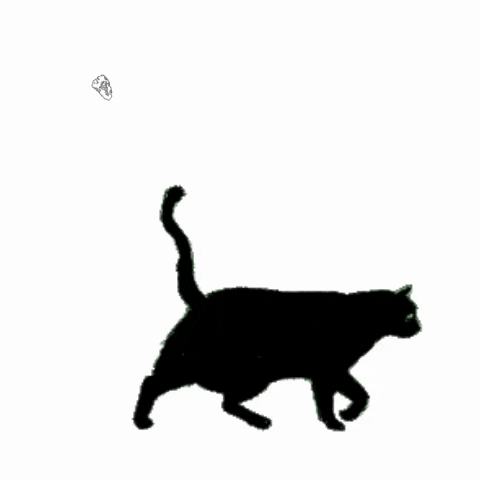 Black Cat Moving Cat Sticker GIF