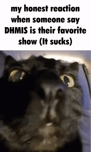 Black Cat My Honest Reaction When Someone Says DHMIS