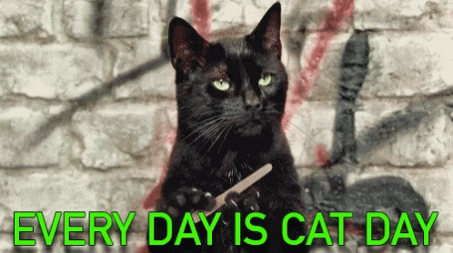 Black Cat Nail Clipper Every Day Is Cat Day