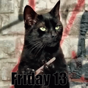 Black Cat Nail File Friday 13th Curse Meme GIF