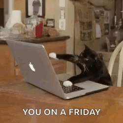 Black Cat On Friday Typing Meme GIF