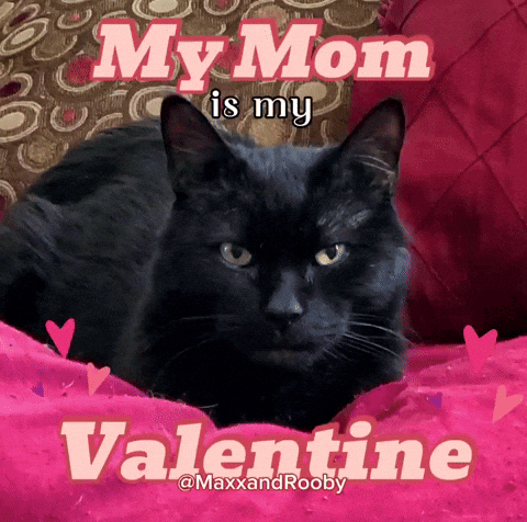 Black Cat on Pink Pillow My Mom Is My Valentine