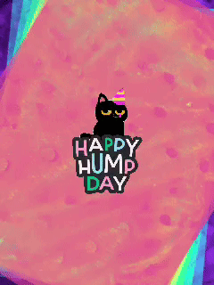 Black Cat Party Hat Happy Hump Day