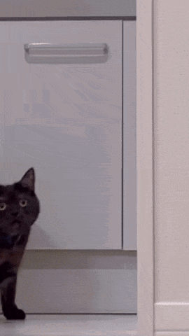 Black Cat Peeking From Behind Cabinet
