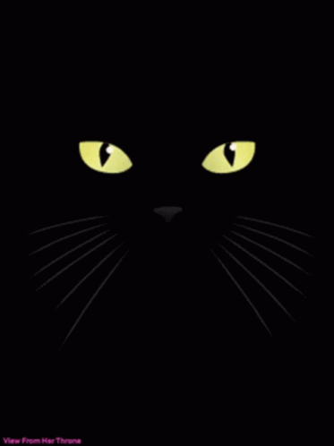 Black Cat Pink Tongue Hello Saturday