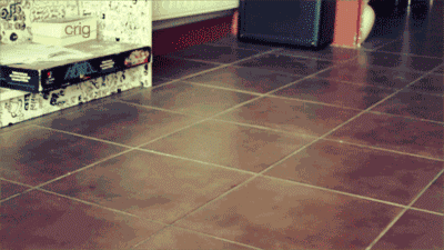 Black Cat Pokemon GIF