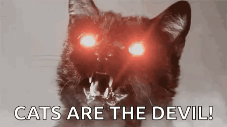 Black Cat Red Eyes Screaming Cats Are Devil GIF