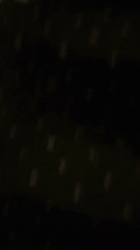 Black Cat Running GIF