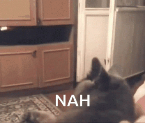 Black Cat Saying Nah GIF