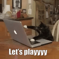 Black Cat Says Let's Play Typing Meme GIF