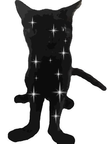 Black Cat Silhouette with White Stars
