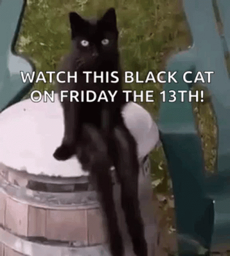 Black Cat Sitting Friday The 13th GIF