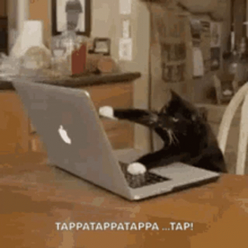 Black Cat Sitting in Front of Apple Laptop