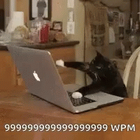 Black Cat Sitting In Front Of Laptop GIF