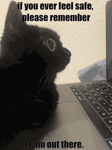 Black Cat Sitting In Front Of Laptop Saying If You Ever Feel Safe Please Remember I Am Out There GIF