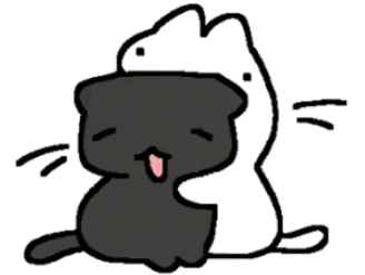 Black Cat Sitting Next To White Cat GIF