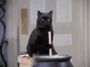 Black Cat Sitting on Cauldron Holding Stick
