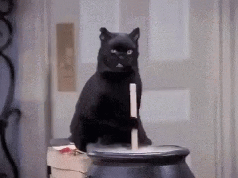 Black Cat Sitting on Cauldron with Stick