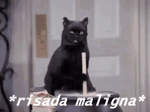 Black Cat Sitting With Candle In Mouth GIF