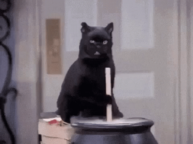 Black Cat Stirring The Pot GIF
