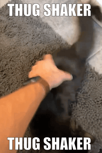 Black Cat Thug Shaker GIF