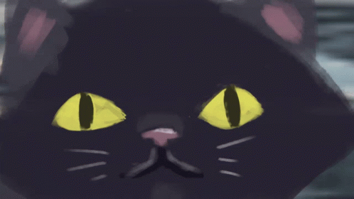 Black Cat Vibing GIF
