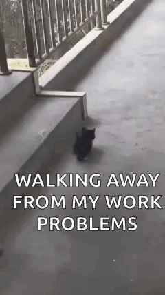 Black Cat Walking Down Stairs Away From Work Problems GIF