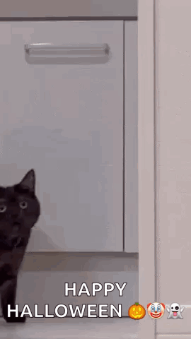 Black Cat Walking Through Doorway GIF
