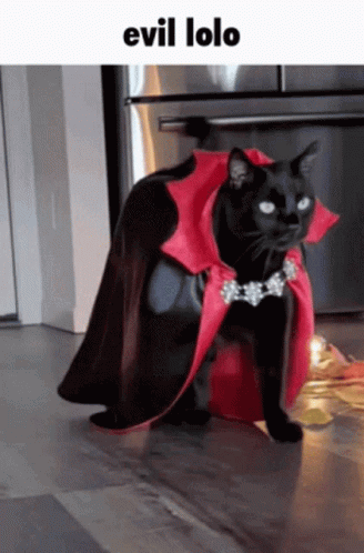 Black Cat Wearing Red Cape and Necklace Evil Lolo