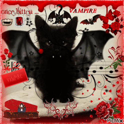 Black Cat With Bat Wings Vampire GIF