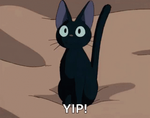 Black Cat With Big Eyes GIF