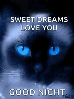 Black Cat with Blue Eyes and Sweet Dreams Love You