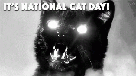Black Cat With Glowing Eyes and Sharp Teeth National Cat Day