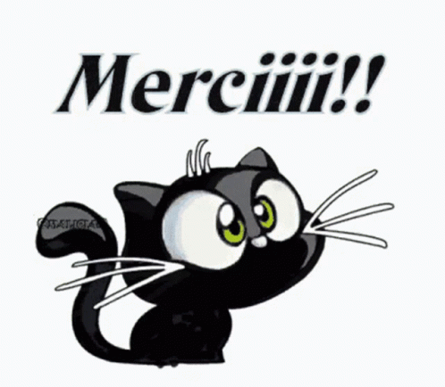 Black Cat With Green Eyes And Merci Sign GIF