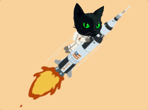 Black Cat With Green Eyes Flying On Rocket Saying USS Saturn GIF
