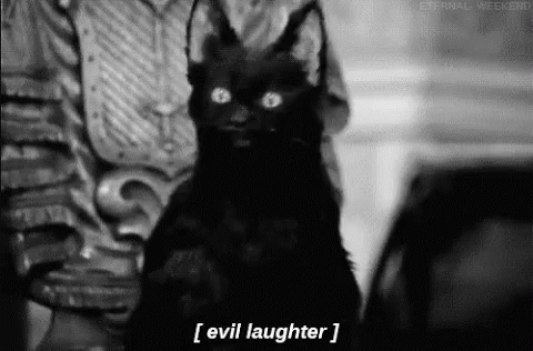 Black Cat With Horns Evil Laughter