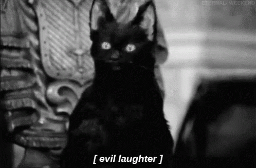 Black Cat With Horns Held By Person Saying Evil Laughter GIF
