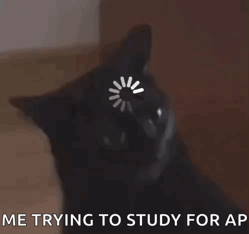 Black Cat With Loading Circle Me Trying to Study for AP
