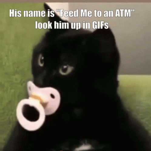 Black Cat With Pacifier Saying Feed Me To An ATM GIF