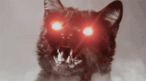Black Cat With Red Eyes and Teeth