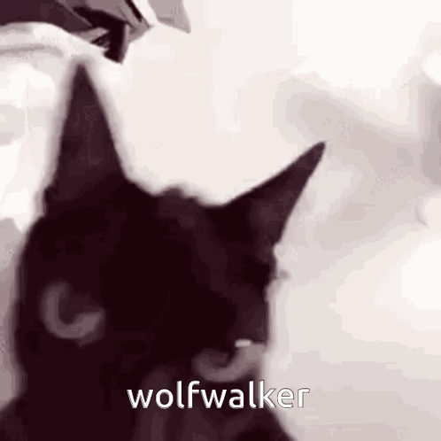 Black Cat with Wolfwalker Text